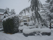 Foto: M. TERESA PALOMARES